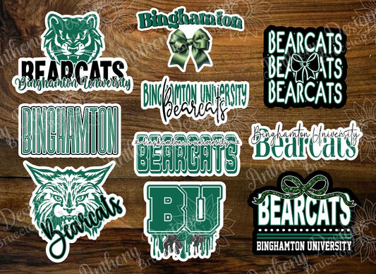 Binghamton inspired Vinyl Stickers